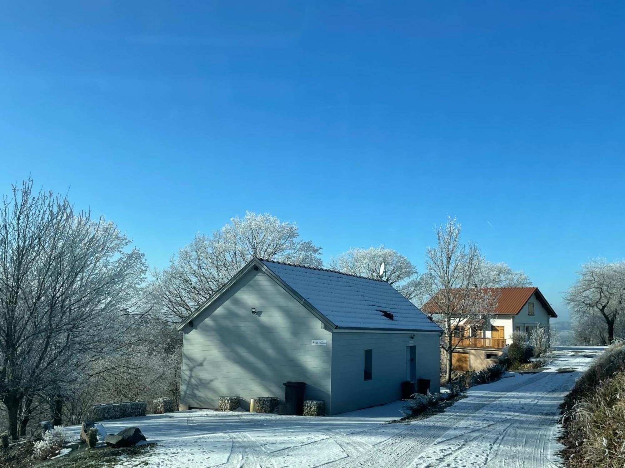 Gite Des Brimbelles La Neuveville-Devant-Lepanges Bagian luar foto